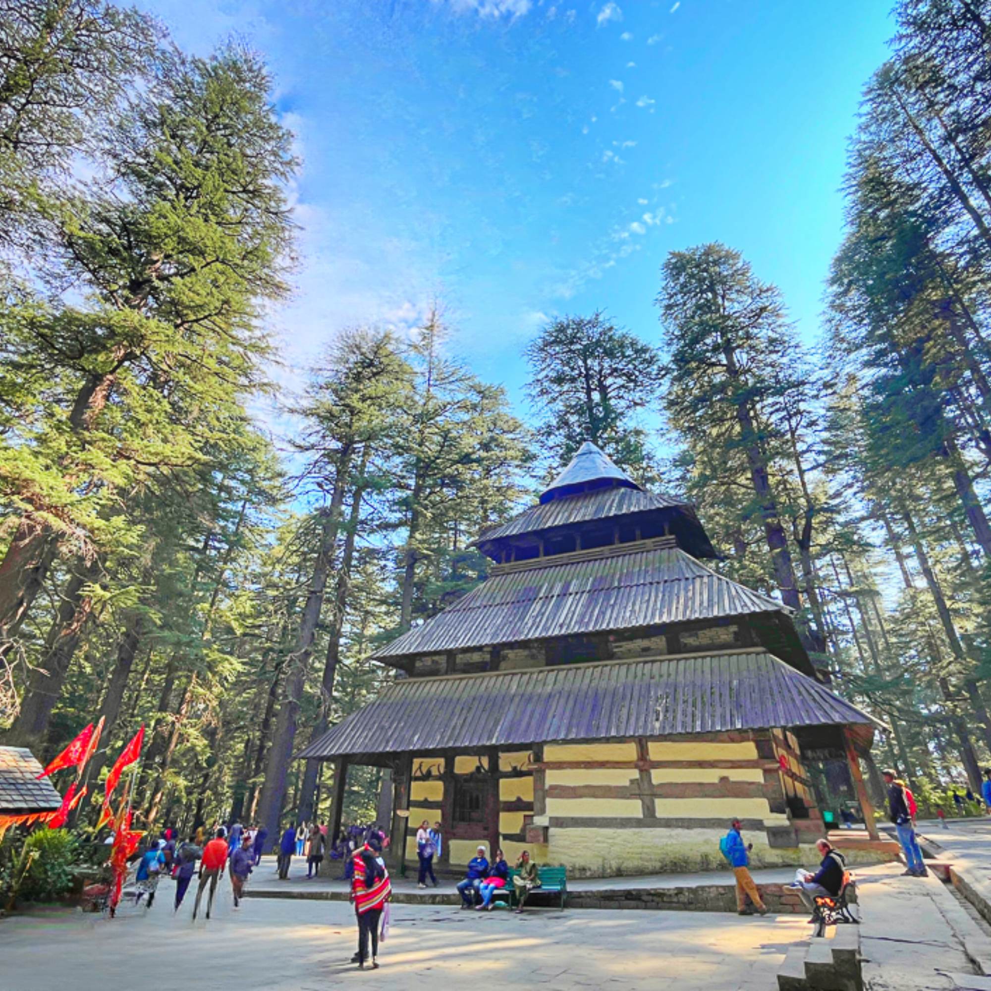 Hadimba Temple forest view.jpg