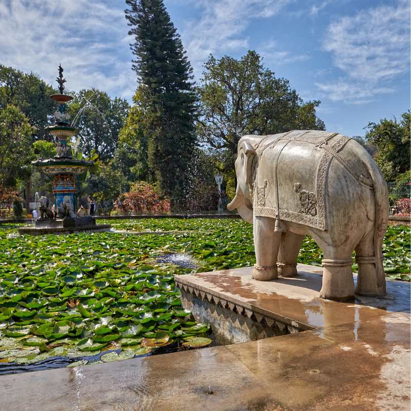 Lotus pool inside Saheliyon Ki Bari garden.jpg
