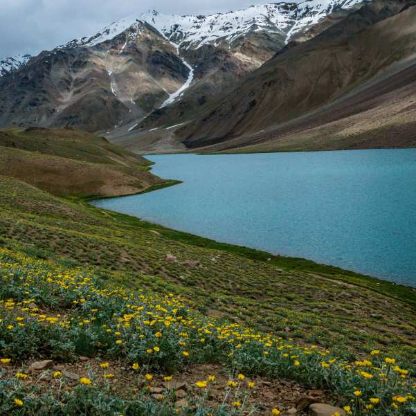 Is Chandratal Crowded in June 2026_ Honest Crowd, Road and Camp Guide.jpg