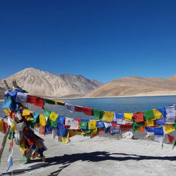 Pangong Stay Options.jpg