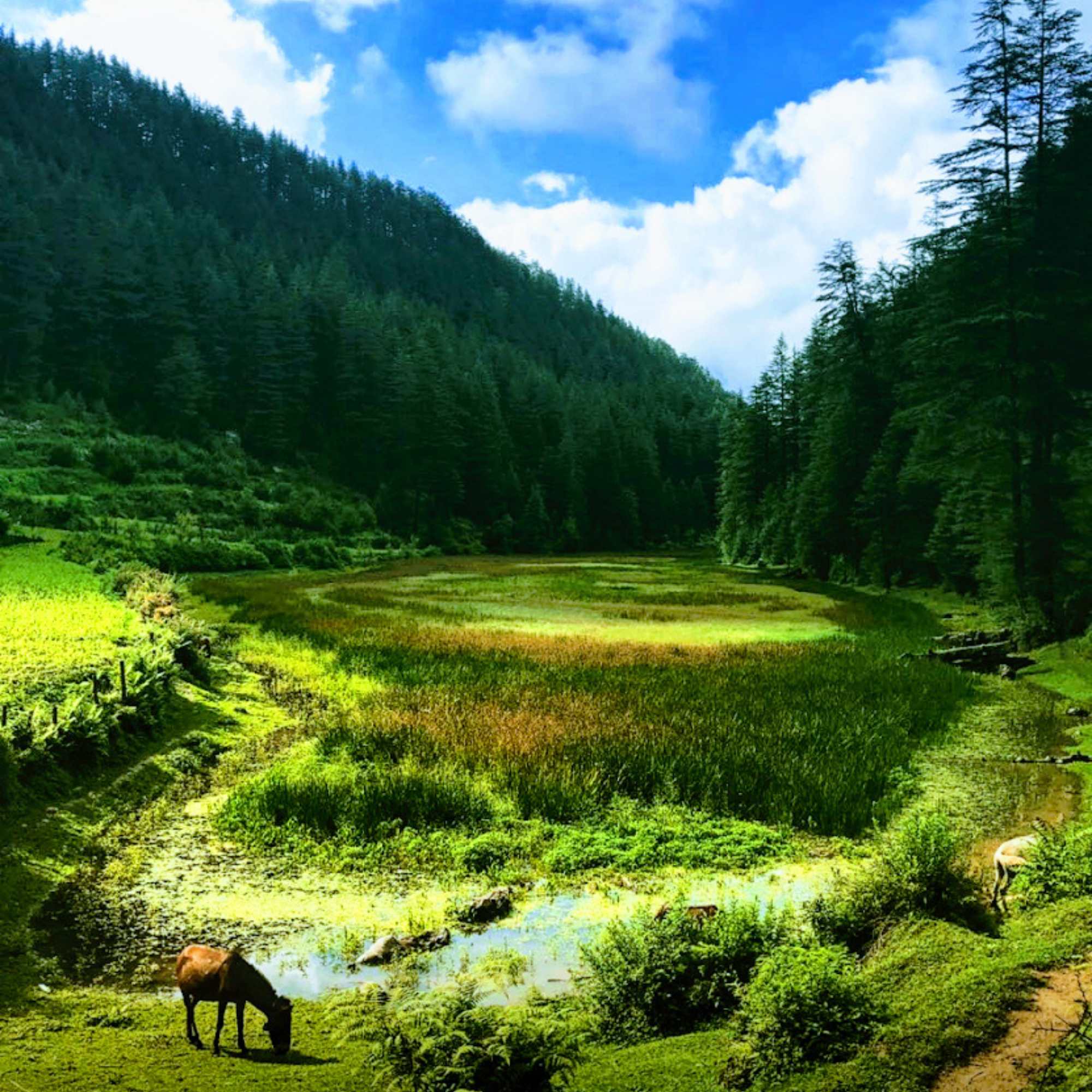 Pundrik Rishi Lake