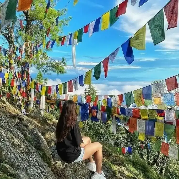 how to reach dharamshala