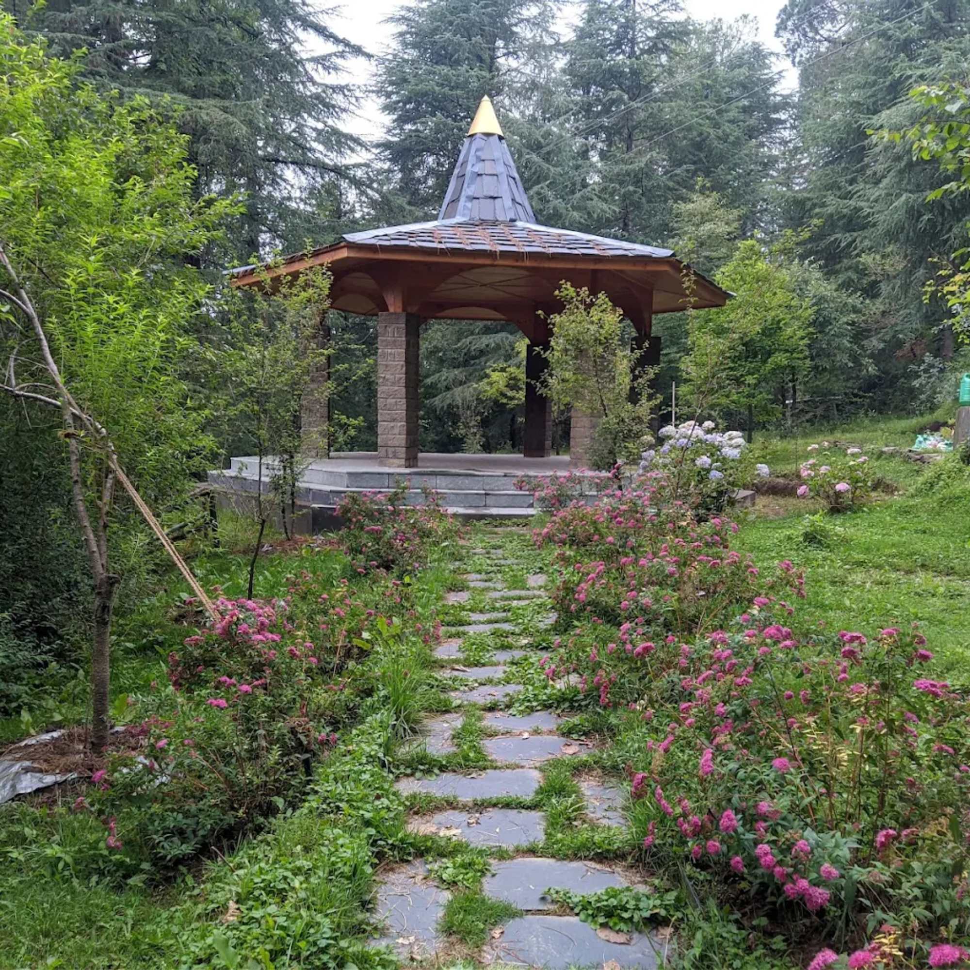 Summer Hill, a serene and quiet place near Shimla.jpg