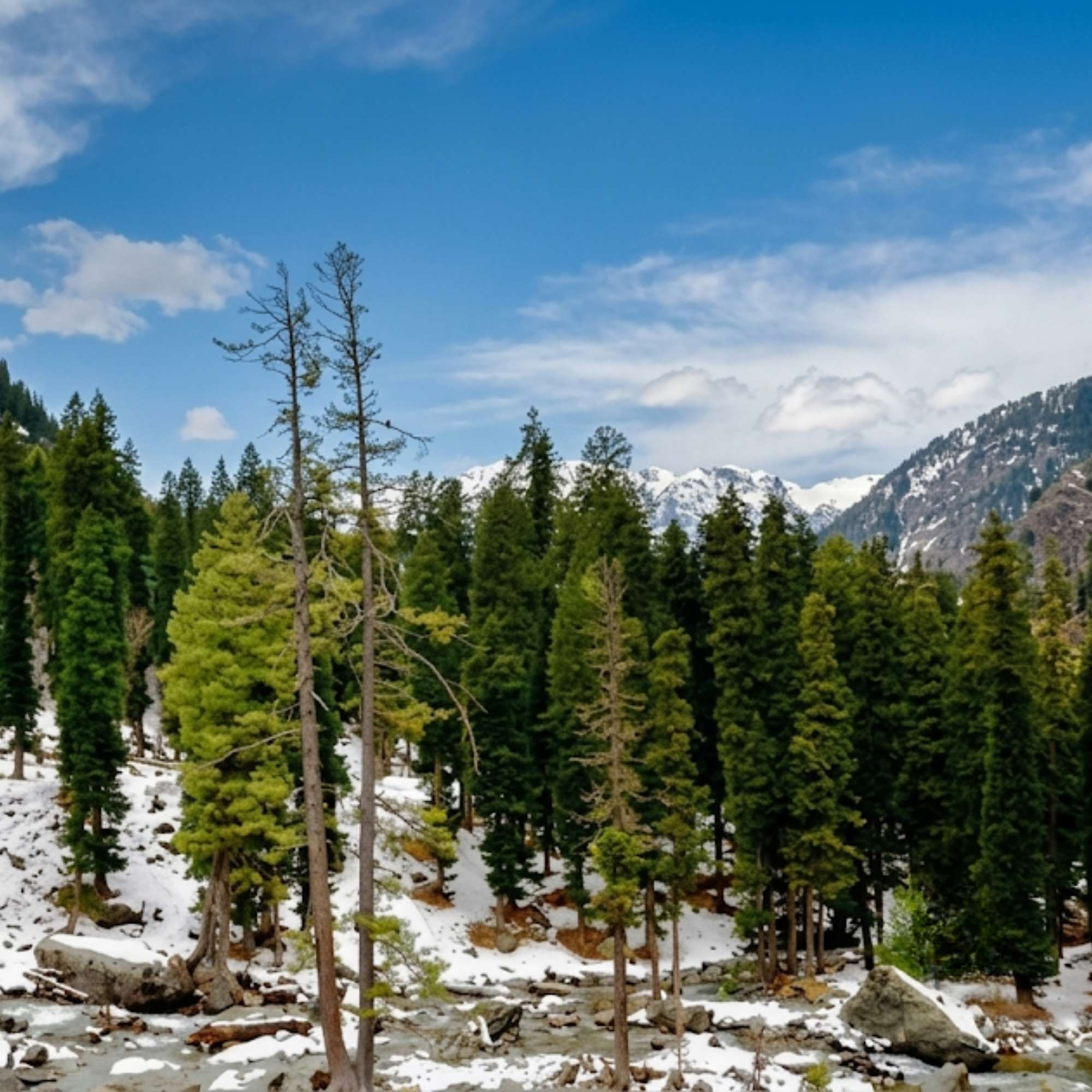 How Do You Reach and Travel Around Kashmir in Winter?