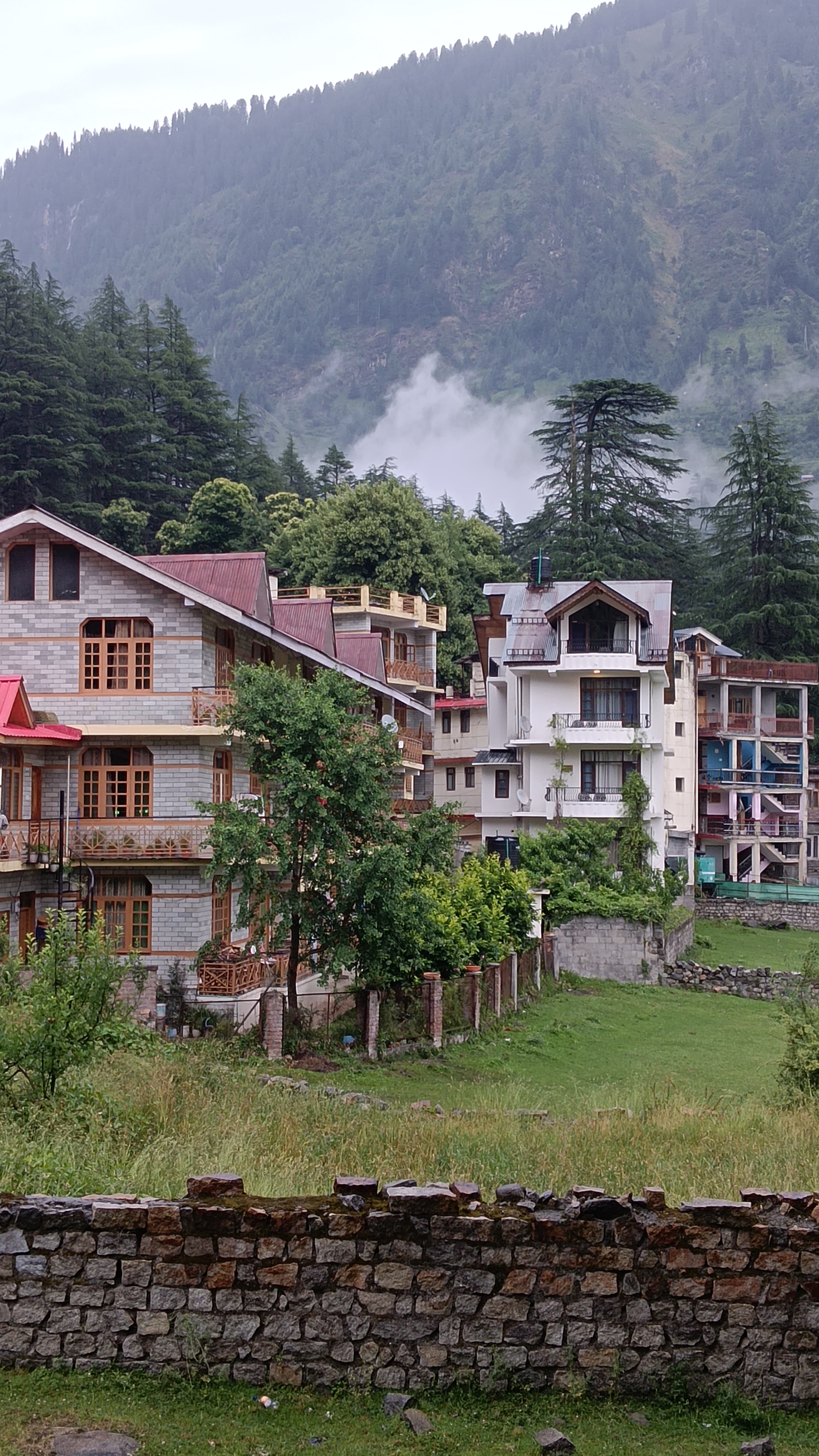 Souresh Saha — photo 3